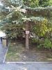 IMG_20200728_173551.thumb.jpg.922e074355f8f93f149c54d6608ea879.jpg