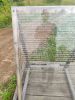 IMG_20200729_123610.thumb.jpg.97b46a6abfdde4e4ac7dbb3dba03f20a.jpg