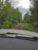 IMG_20200730_100332.thumb.jpg.64661b640c8b34f368b4fedd37129b67.jpg
