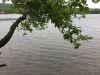 IMG_3649.thumb.JPG.33312474cf7f076bc21062435b49fb28.JPG