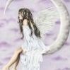 lunar-ray