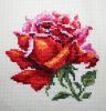 2.thumb.jpg.afd1228c6adc77c3a85e2f6a68912ee0.jpg
