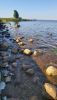 20200718_082008.thumb.jpg.7608b04d6bace7121c3602d820d77f64.jpg