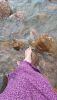 20200718_121602.thumb.jpg.4cb55e67c9c85d49d62f89eaffee1006.jpg