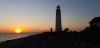 20200723_201454.thumb.jpg.2c5ffb0b323e154e492f52cdce5260e7.jpg
