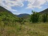 20200724_144558.thumb.jpg.097a4f7e1618ae711cdda5568e5d2c70.jpg