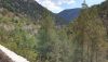 20200724_150430.thumb.jpg.7110b9b50f9575ea639e64dd12f87dbc.jpg