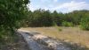 20200726_134953.thumb.jpg.a386bd6f1d65c0a7812e7f1482129ac9.jpg