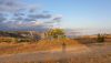 20200727_193744.thumb.jpg.d38a5e455b04ddbb03d34a389ed5503c.jpg