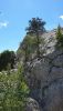 20200728_130155.thumb.jpg.da350fe41b74b8acc22e2c68a93b0b44.jpg