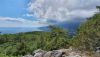 20200728_134318.thumb.jpg.f89daaabb1434b0ca85636d6100985c0.jpg