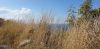 20200729_090028.thumb.jpg.ea91a27f3622cf552352554d20c4d285.jpg