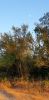 20200729_193030.thumb.jpg.822ea891bd2ef6018b15a59771126c1e.jpg