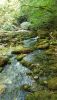 20200730_101454.thumb.jpg.a7dba4e036bfa06da392357436273e96.jpg