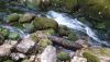 20200730_105801.thumb.jpg.51cbb1730bc4b65b806757c39a9a3a4e.jpg
