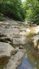 20200730_123820.thumb.jpg.166a4f649ee446216b05b347a69afa36.jpg
