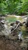 20200730_131317.thumb.jpg.edda953bc3ba1b7e6e9f01066ad35a60.jpg