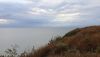 20200801_064224.thumb.jpg.e0c02af3e81f4023eb39973d5ad03be9.jpg