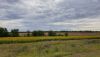 20200802_082525.thumb.jpg.a261a92125d80abb1a8c00ce9d4037be.jpg