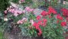 20200808_145800.thumb.jpg.93b8be5fe0773d5be74c32108d455e28.jpg