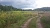 20200808_171833.thumb.jpg.530ba1fcd9e5db48d79d645c75402b3b.jpg