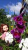 20200809_100654.thumb.jpg.40e30f2b1e535b7d303aa4349176c7a4.jpg