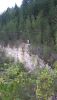 20200809_134804.thumb.jpg.461cb12ecd3b38709e6c70c4514ea080.jpg