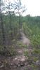 20200809_135105.thumb.jpg.25e26603aa01ab9c81d93aeabcdb7ea5.jpg