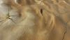 20200809_152722.thumb.jpg.908ea0a77e5679fe7c760ce4b240eaf8.jpg