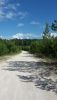 20200809_153949.thumb.jpg.ac3bc5f8e898a2ff07978184df04e083.jpg