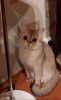 20200809_175603.thumb.jpg.593fb5f1ce54377fe7d8c74c87b432a3.jpg