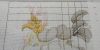 20200814_161049.thumb.jpg.78e087e6d910daf1a532b9dcefcdbe04.jpg