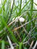 20200816_174346.thumb.jpg.ea0a82dff9156deee835b15c917453b8.jpg
