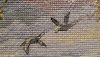 20200816_213148.thumb.jpg.d410d56f1be162f5befcd120f1b848d9.jpg