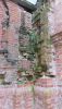 20200822_153527.thumb.jpg.e5f5e9101ff64b66aace2671d56ff7d6.jpg