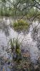 20200824_175930.thumb.jpg.02789d11131b80f5af11208705d0a5dc.jpg