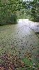 20200824_180536.thumb.jpg.d64069fe279e6a95431b41d5a30d618c.jpg