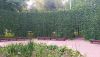 20200824_181317.thumb.jpg.3d7e70a62fdbac9610406b1b4c9192b1.jpg