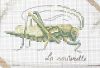 20200825_184309.thumb.jpg.7709aa76003398e2a665fe809257066a.jpg