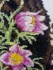 3.thumb.JPG.89543c6d9719ba4ce0ba69029b9a9774.JPG