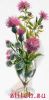35406.thumb.jpg.fa46dcbd854acbcb4c2015a9b641d021.jpg
