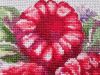 6.thumb.JPG.a9ccc90638073adfcfefba217f447c2f.JPG