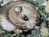 6.thumb.JPG.cf0e8541462a8ac9df2d439959f5e27f.JPG