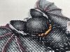 A1E06ABA-DF93-4313-BD49-48D47BDB2477.jpeg