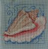 Conch3.thumb.JPG.5e5e2e0af37355e9a25249e234115531.JPG