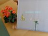 DSC01653.JPG