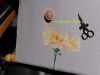 DSC01882.JPG
