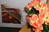 DSC03037.JPG