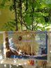DSC04291.JPG
