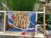 DSC04378.JPG
